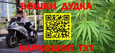 МДПВ Лесосибирск
