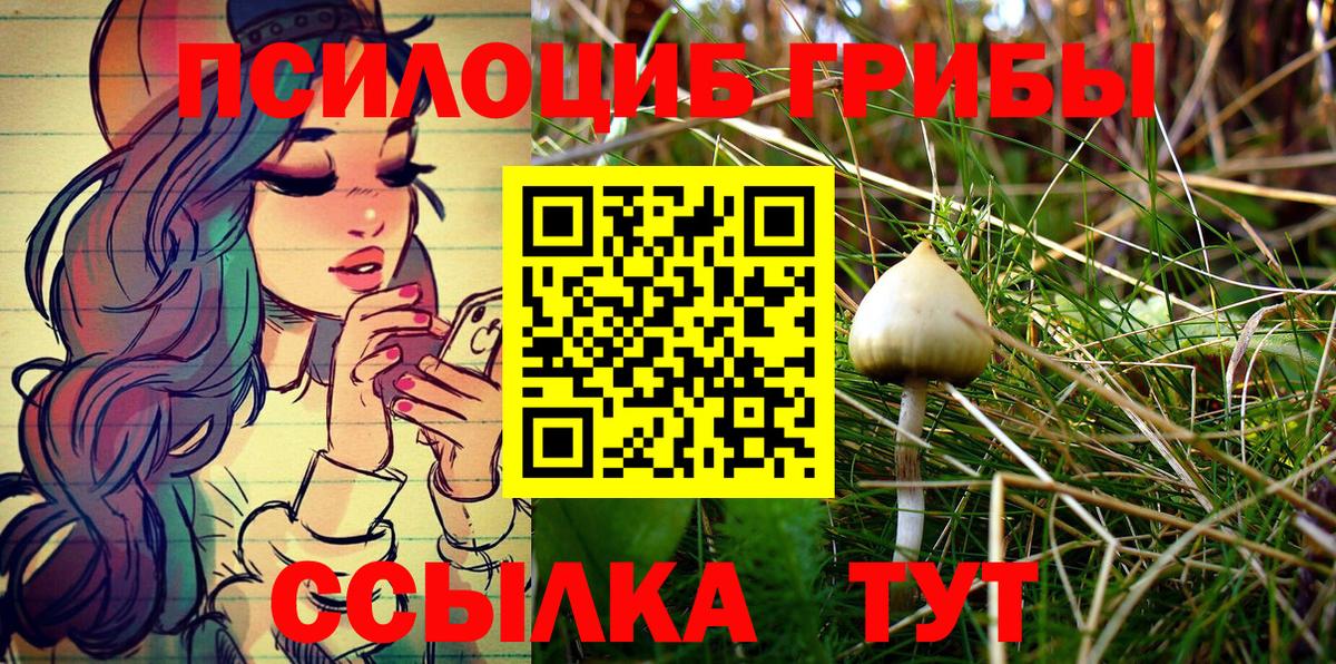 Псилоцибиновые грибы MAGIC MUSHROOMS Знаменск